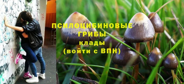 амфетамин Алексин